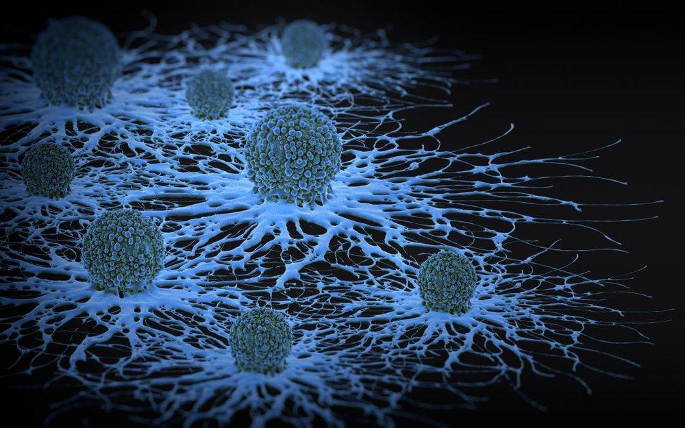 حمله به سلول های سرطانی با ویروس های انکولوتیک