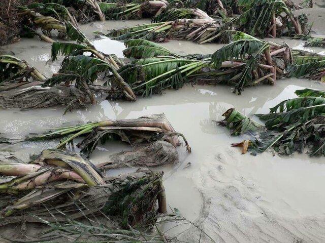 خسارت سیلاب به بخش کشاورزی سیستان و بلوچستان جدی است