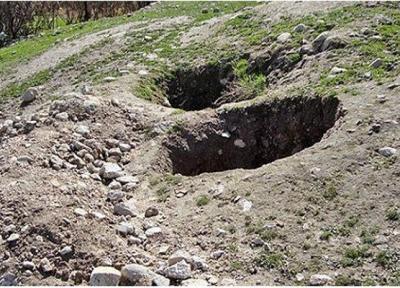 حفاران غیرمجاز به ریشه های درخت اسطوره ای هم رحم نکردند