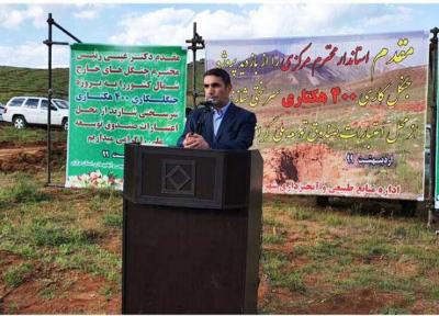 خبرنگاران 2 هزار هکتار جنگل کاری در استان مرکزی آغاز شده است