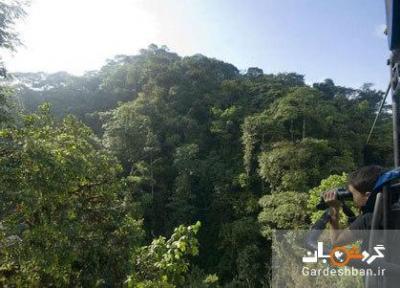 دوچرخه سواری بر فراز جنگل های انبوه اکوادور