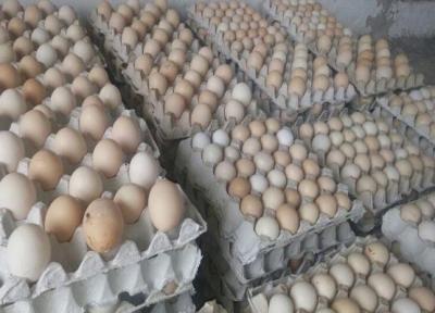 خبرنگاران 8 تن تخم مرغ احتکاری در زاهدان کشف شد