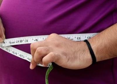 دانشمندان می گویند دو نوع چاقی وجود دارد و یکی از آنها یعنی چاقی مرتبط با اپی ژنتیک برای سلامتی ما بدتر است