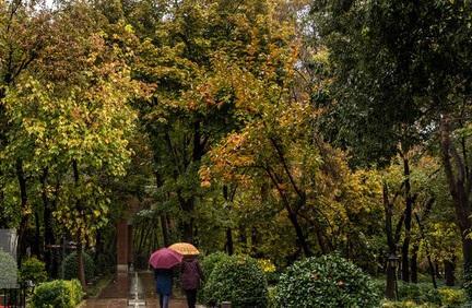 تجربه پاییز گرم و پربارش در تهران، اهمیت صرفه جویی در مصرف آب