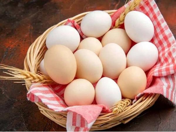 تفاوت تخم مرغ محلی با صنعتی؛ کدام سالم تر است؟